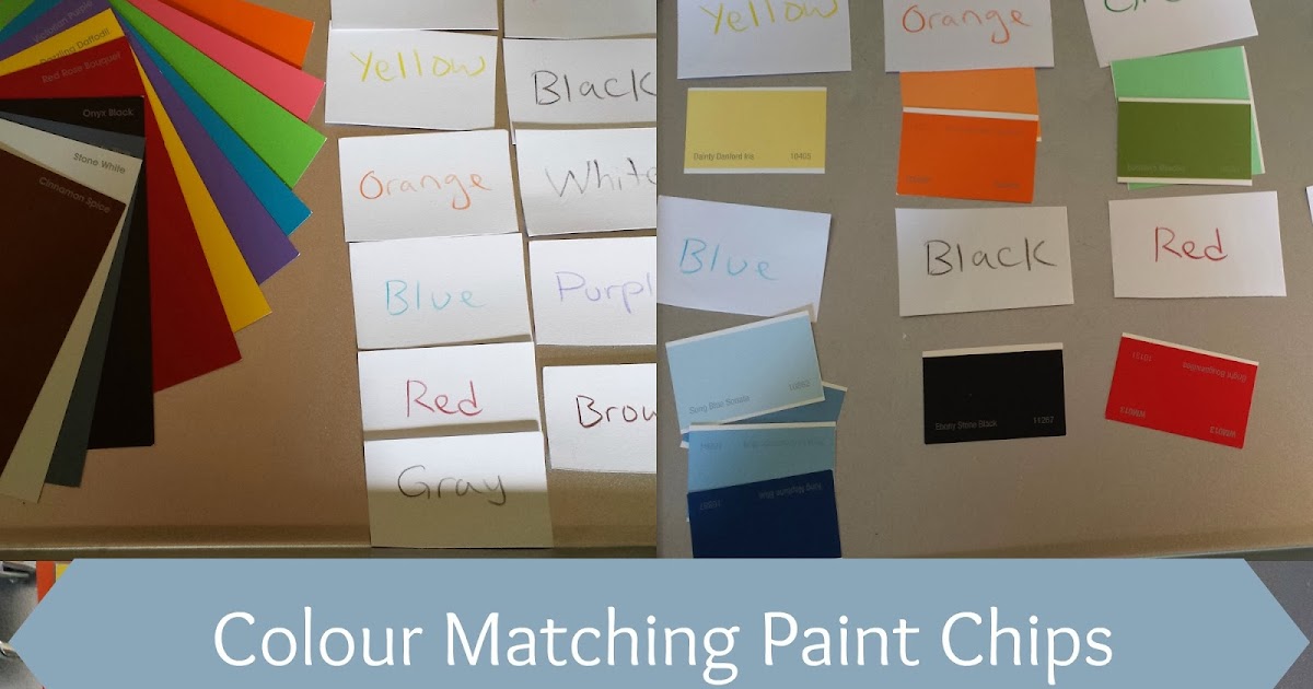 Munchkin and Bean Colour Matching Paint Chips
