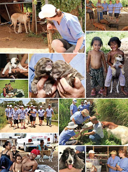 Volunteer Work Tongatapu 2011