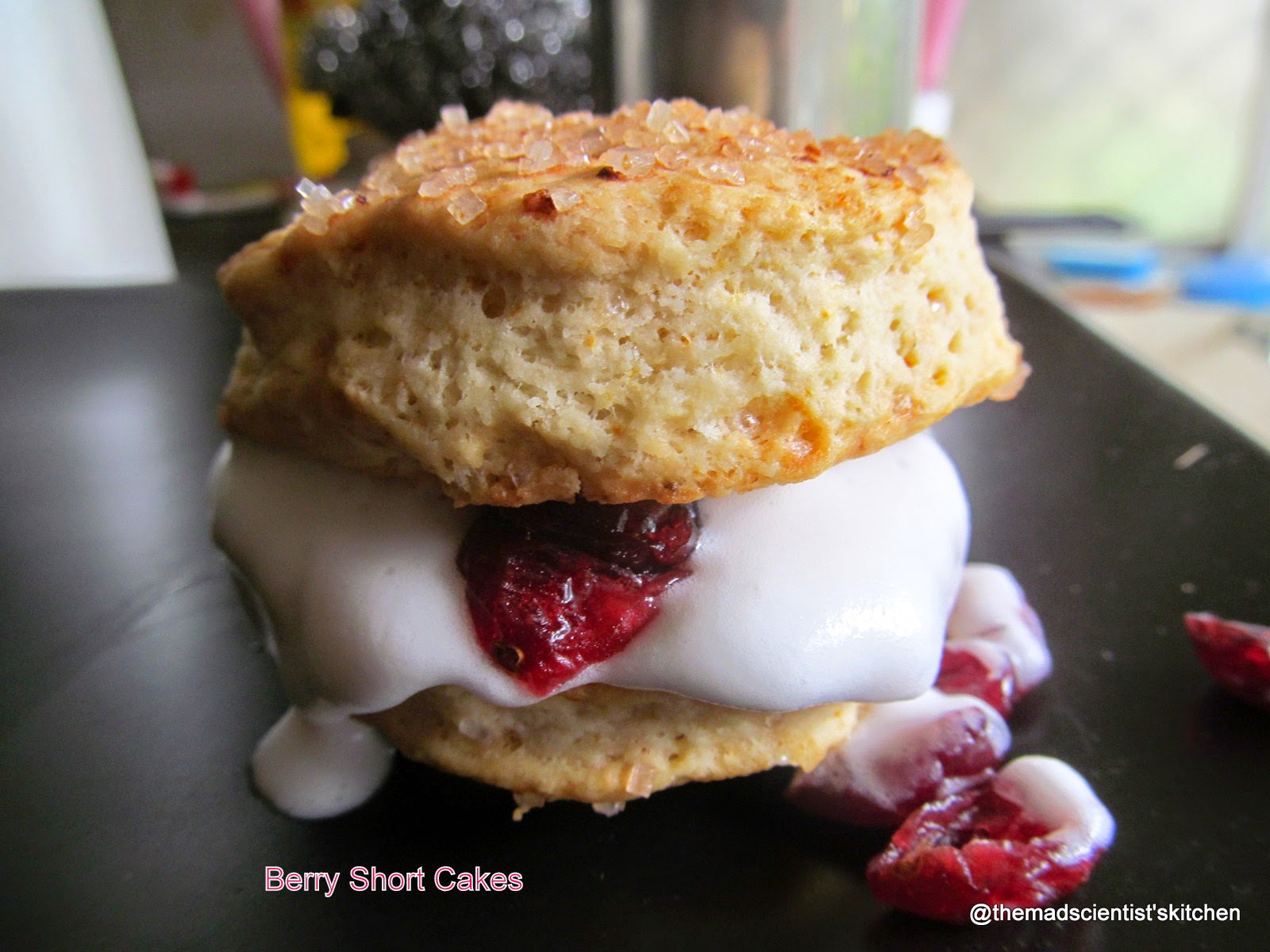 Berry Short Cakes The Mad Scientists Kitchen