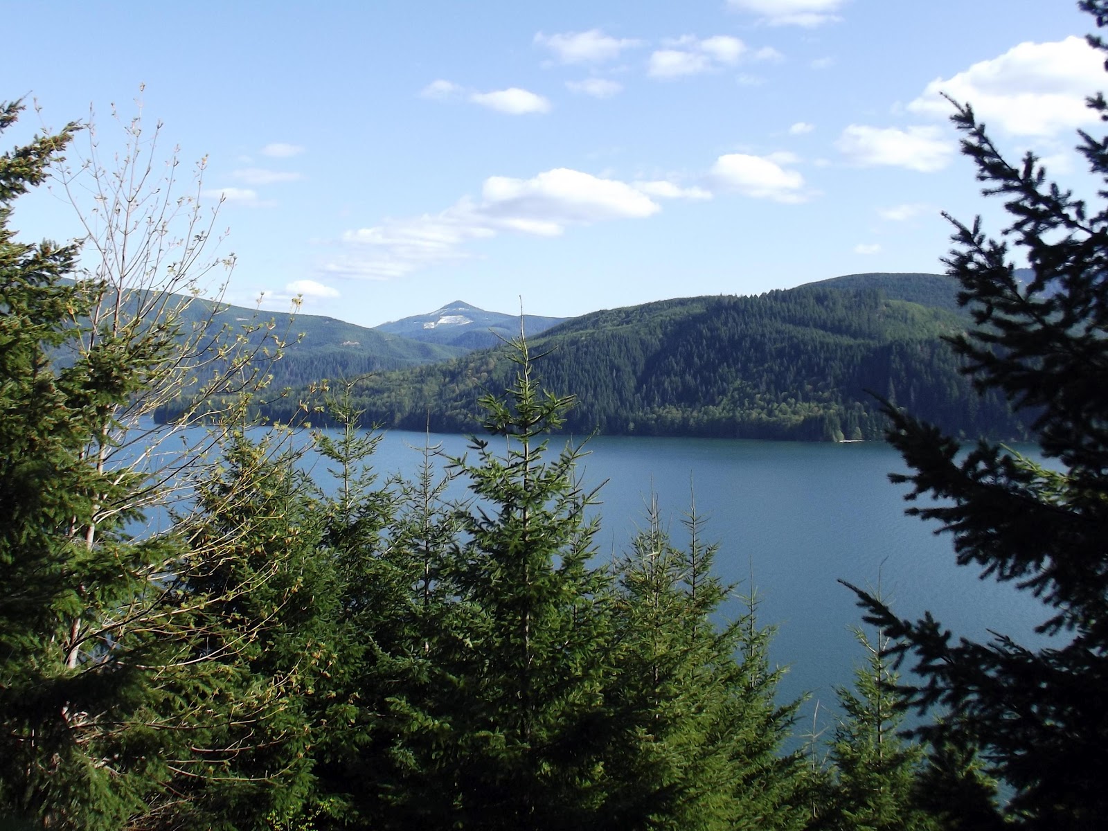 ShieldsRV Adventures Swift Forest Camp, Our Summer "Home"5/178/19/12