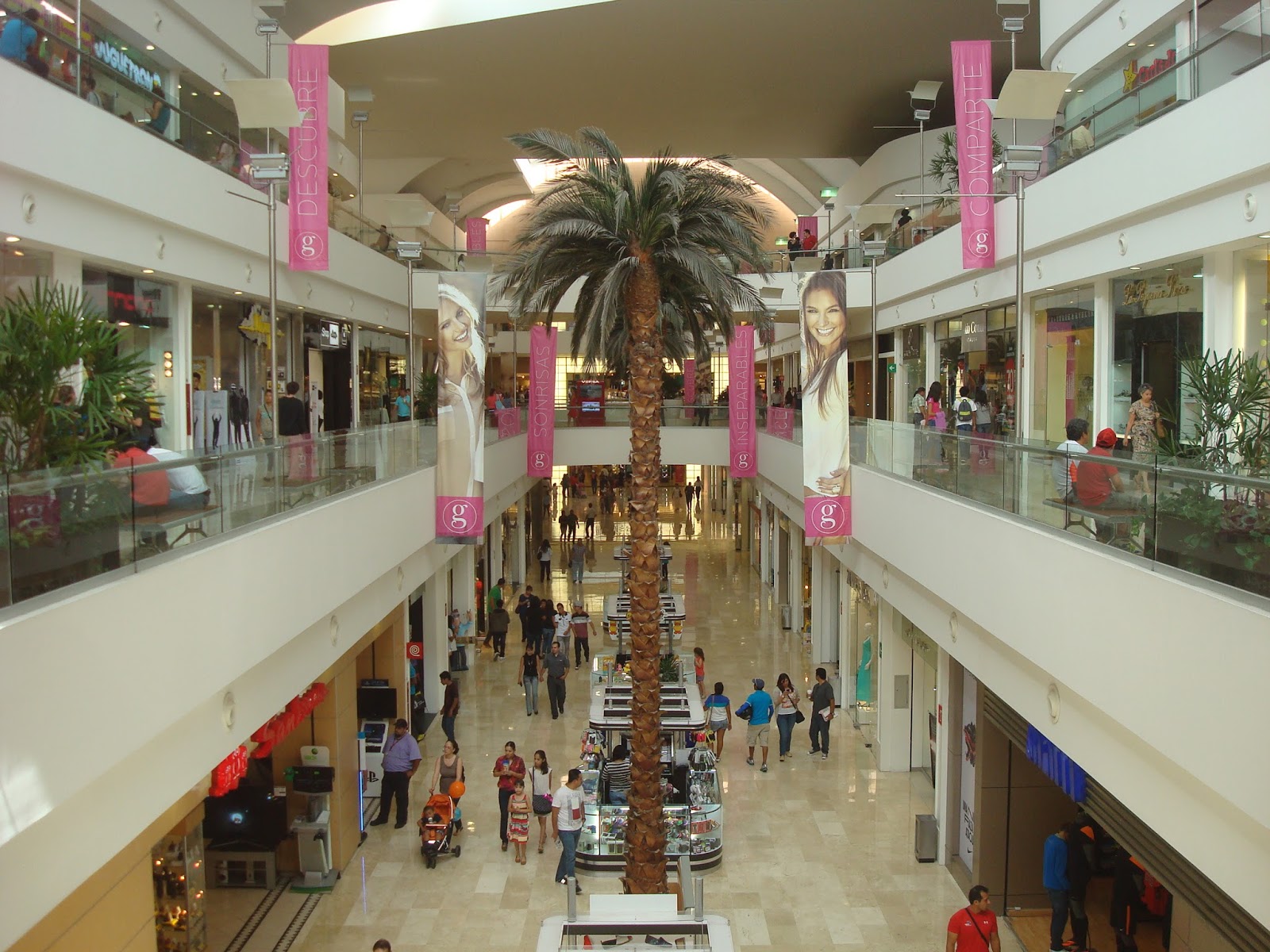 Shopping in Guadalajara r/mexico