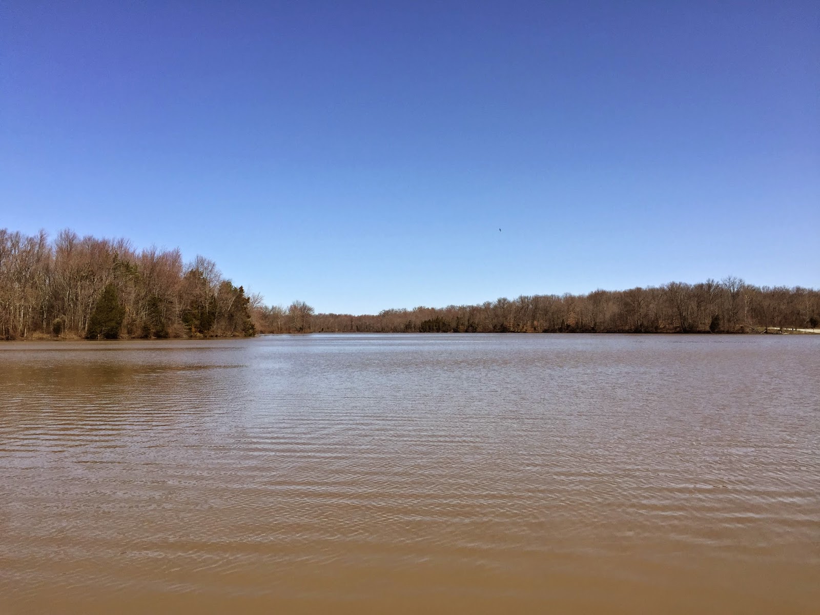 Kayaking Across Ohio Grant Lake No Beavers in Sight