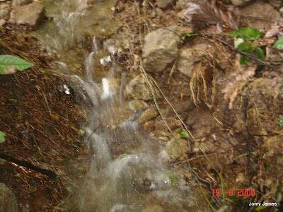 Streams at Velliamattom, Thodupuzha, Idukki