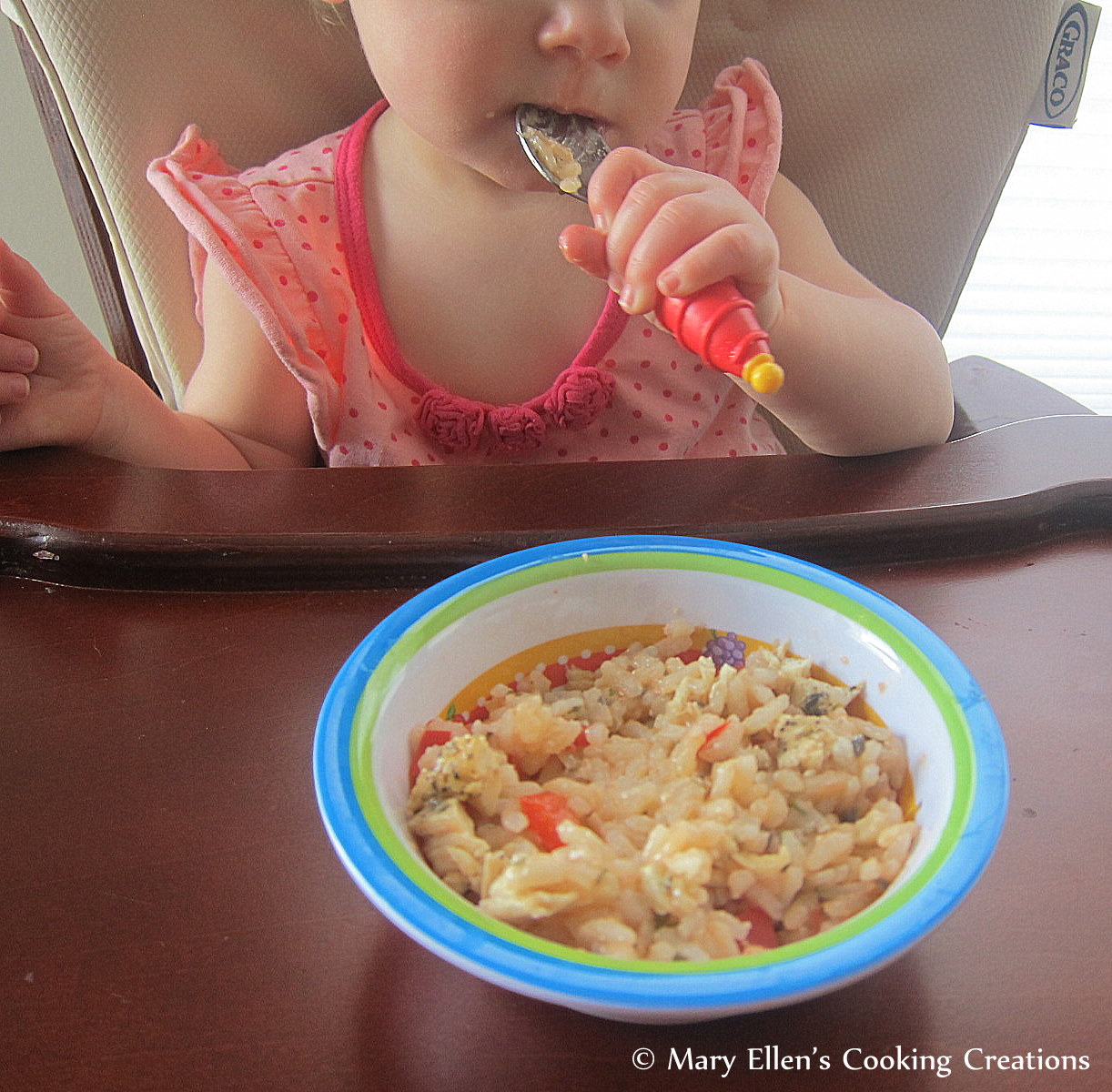 Mary Ellen's Cooking Creations Toddler Friendly Risotto