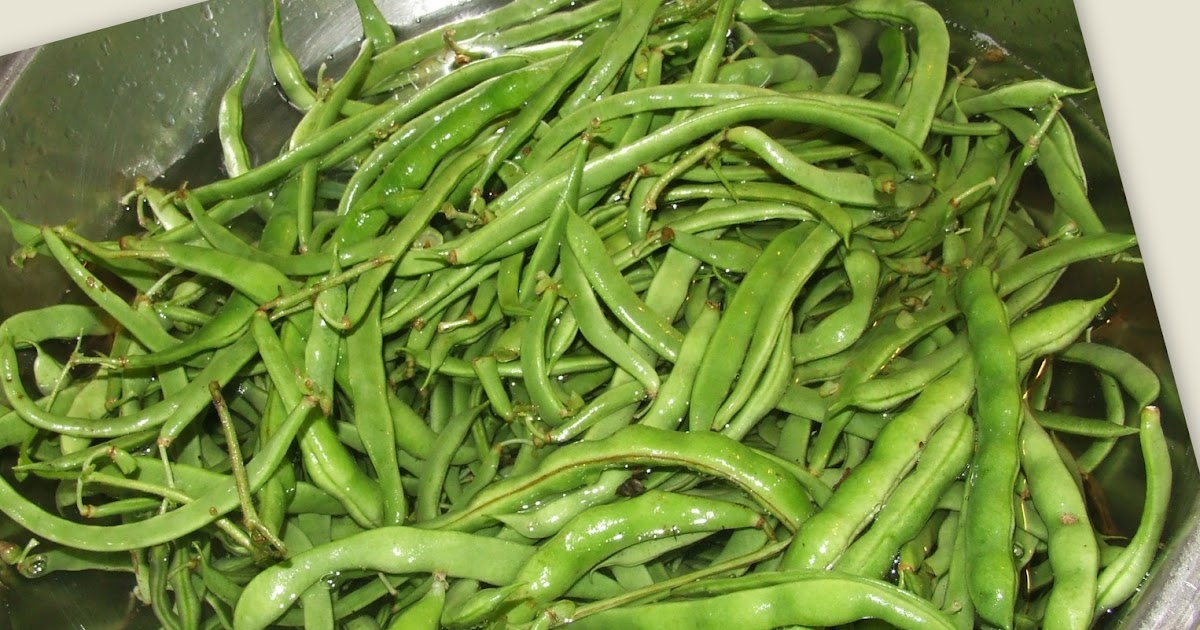 Stuff by Cher Cold Packed Canned Green Beans