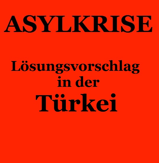 The Austrian Banker Spider Web Asylkrise Losungsvorschlag