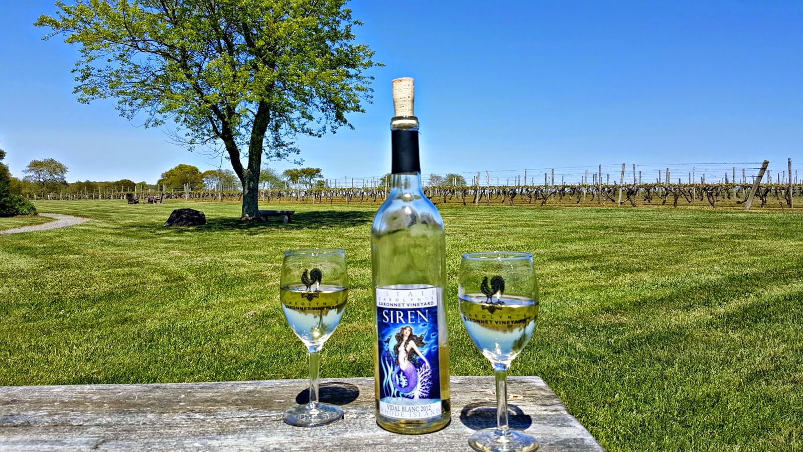 MamiEggroll Family & Pet friendly beautiful afternoon at