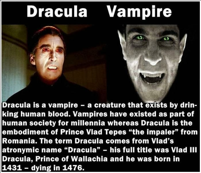 Mail2Day: 20 Most Confusing Differences Between Similar Things