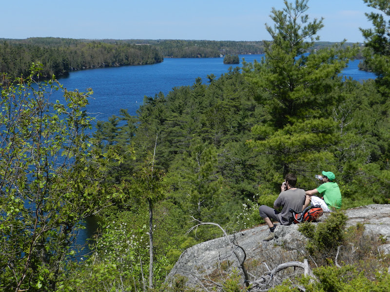 2 Caribous à Toronto WE Gananoque & Charleston Lake Provincial Park