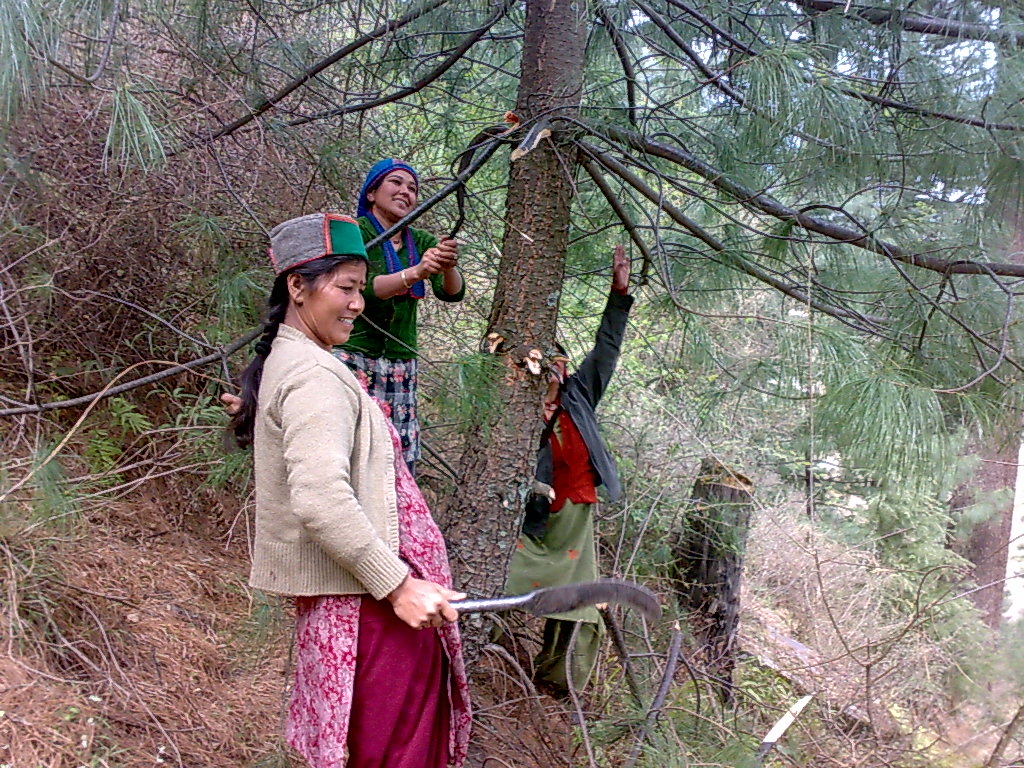 Poor's in INDIA Poors Values