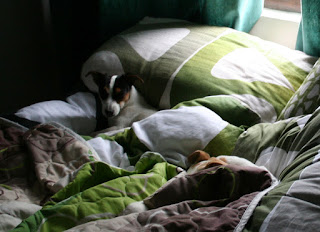 Snoozing in the bed Snoozing in the bed
