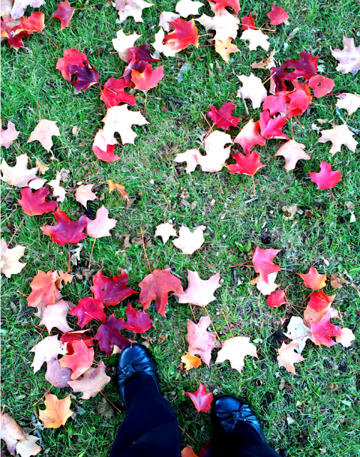 fall colors and black shoes