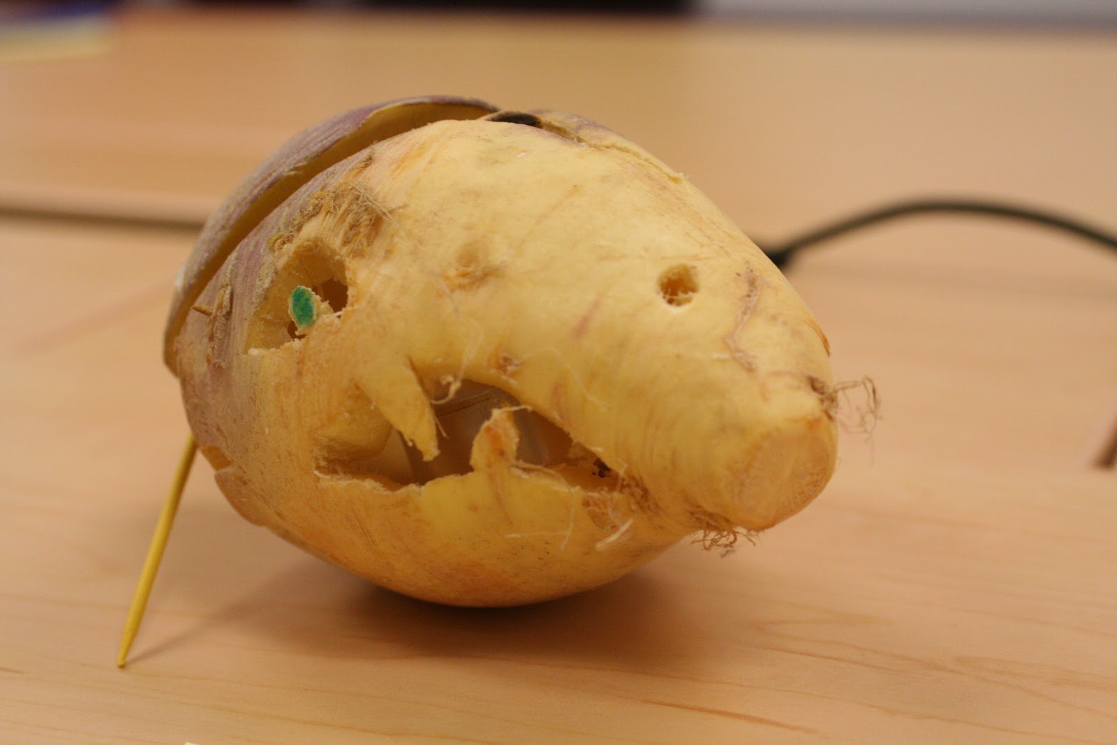 The Mr. Hunter Wall A Halloween Tradition Turnip Carving