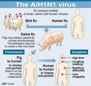 http://2.bp.blogspot.com/-zJ7DprETSPs/T4r3JuyJhEI/AAAAAAAAAcg/yYAQ0wfL4QY/s320/swine-flu+flusymptomsfever.com.jpg
