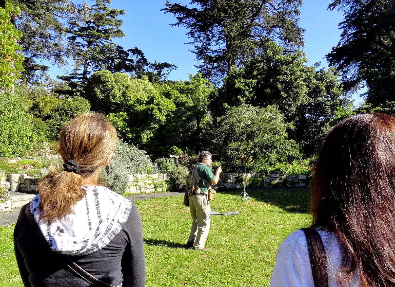 Flora Wonder Blog June 2018