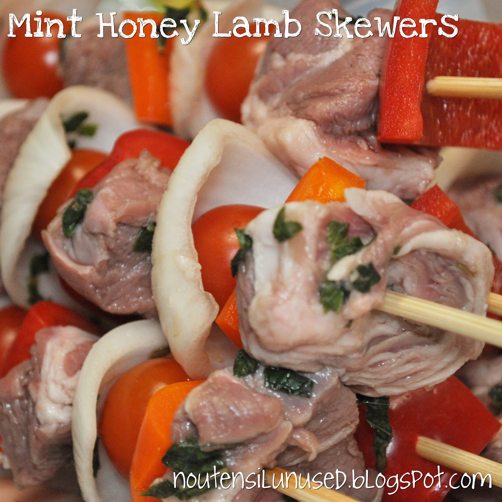 Mint Honey Lamb Skewers Grilled! Recipe No Utensil Unused