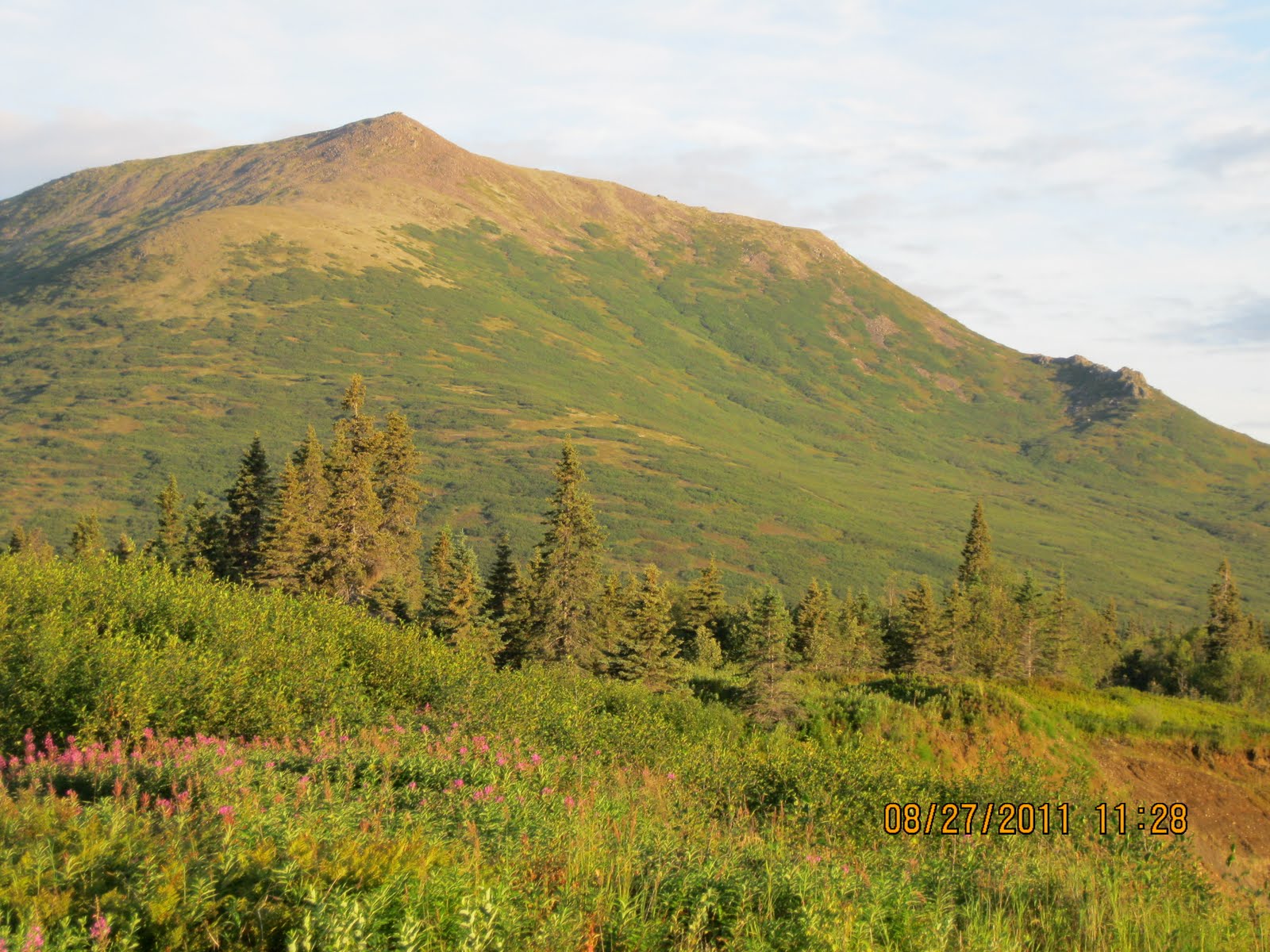 The Tundra Teacher Life in Manokotak, Alaska