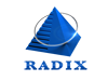 Radix Web Development Company India
