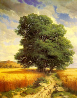due alberi
