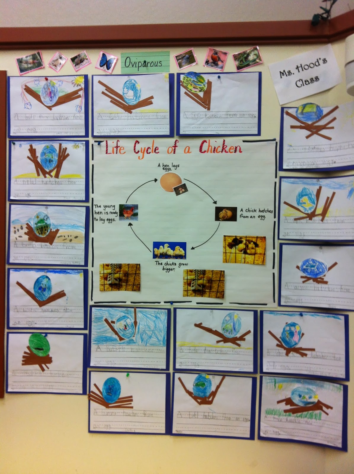 Little Miss Hood's Adventures in Kindergarten: Oviparous Animals