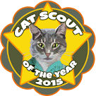 Cat Scout Gracie