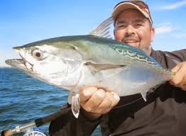 Best Tuna Fishing Techniques