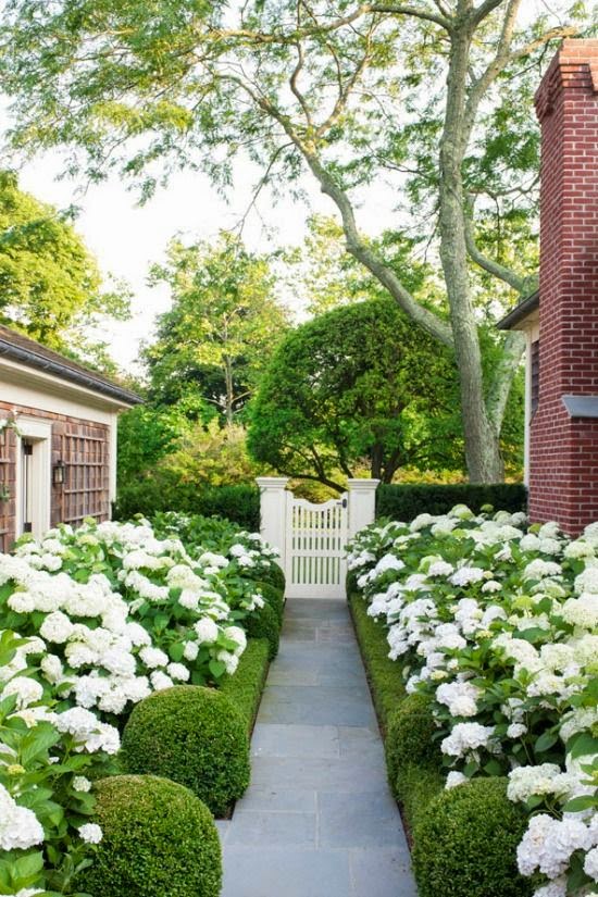Front Yard Landscaping With Hydrangeas
