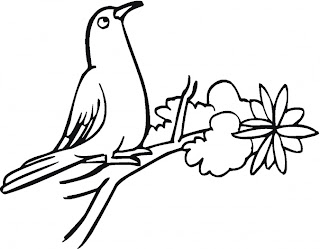 animal coloring pages, bird coloring pages