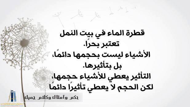 ������ ���� ������ �� ���� ������