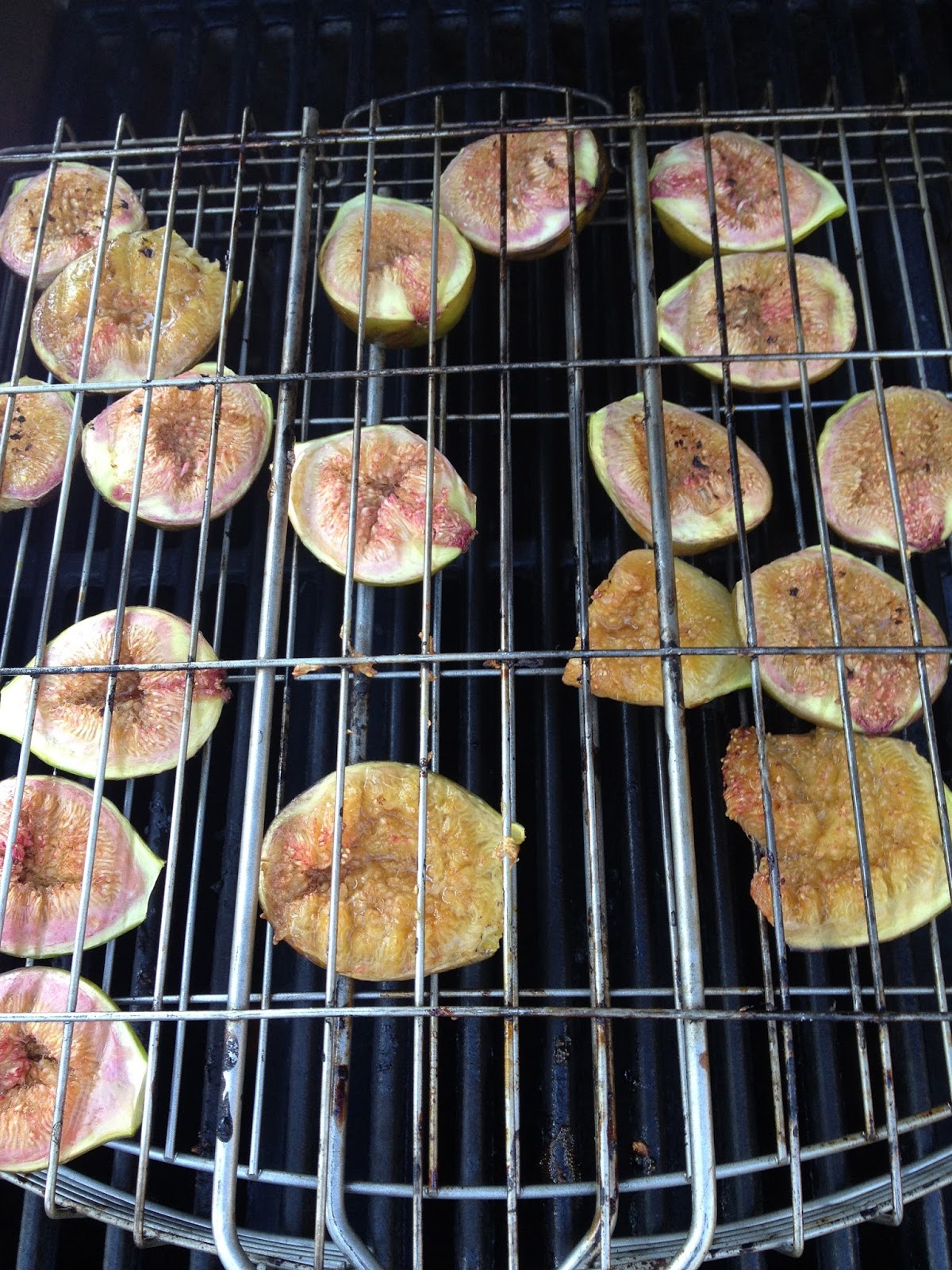 UrbanTerra Fig Season