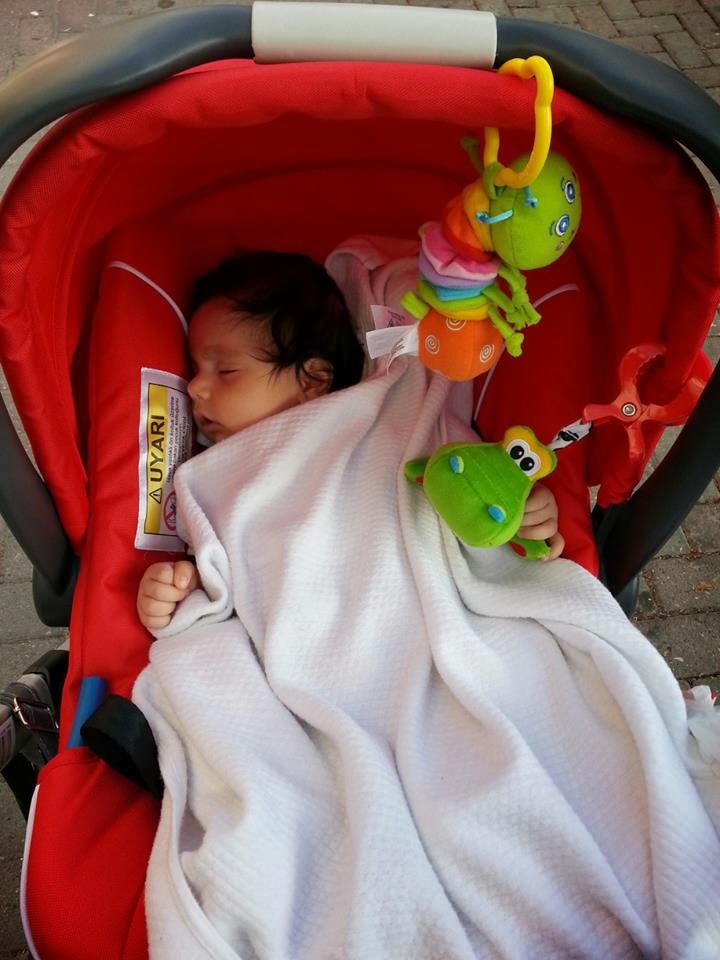 Mutlu (?!) Ama Acemi Anne Bebek Oyuncakları