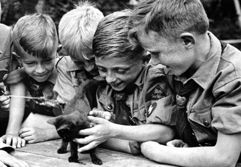 Ce n'est pas un chat Allemand ? Cat+katze+german+nazi+wehrmacht+army+waffen-ss+animal+pet+kitten+war4