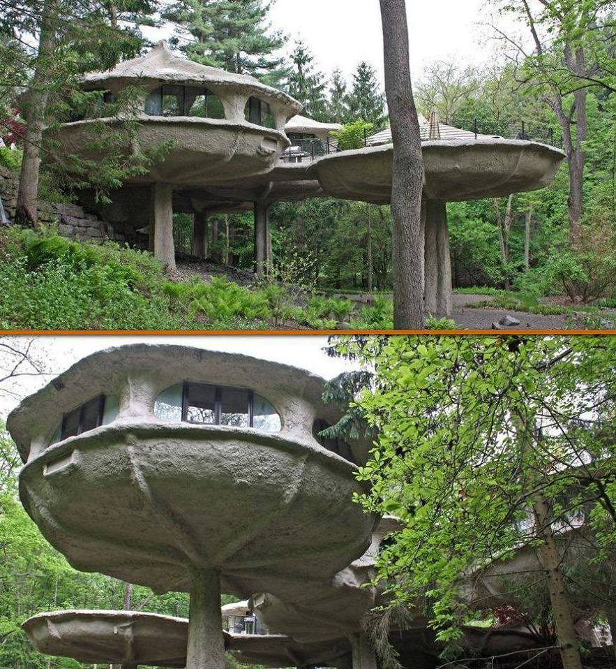 yasamatlas dunya sizin onu duslediginiz gibidir mantar ev pittsford new york