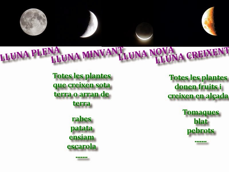 calendari lunar