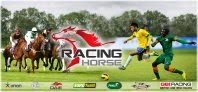 Racing Horse