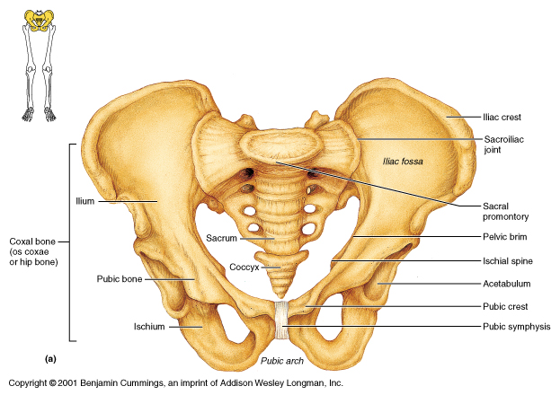 Biology: April 2012