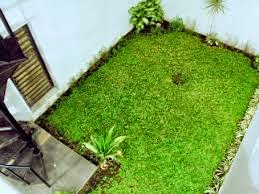Tukang taman | Taman minimalis | Desain taman | Rumput taman | Potong rumput | Suplier tanaman hias