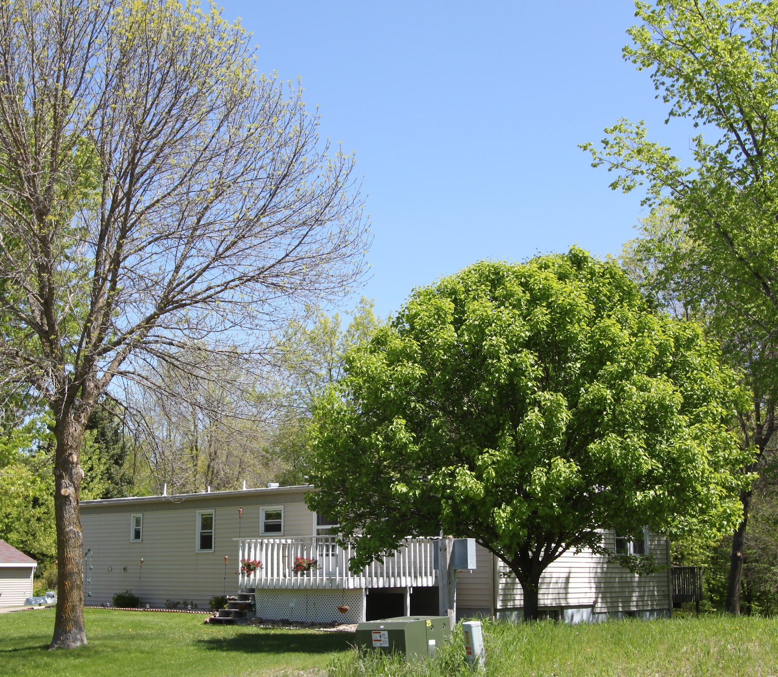 Lake Ida Alexandria MN Lake Ida For 99,000!!!