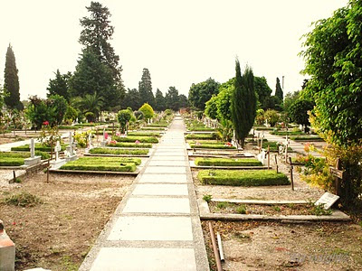 Campo del cementerio