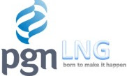 Lowongan Kerja BUMN PGN LNG Indonesia