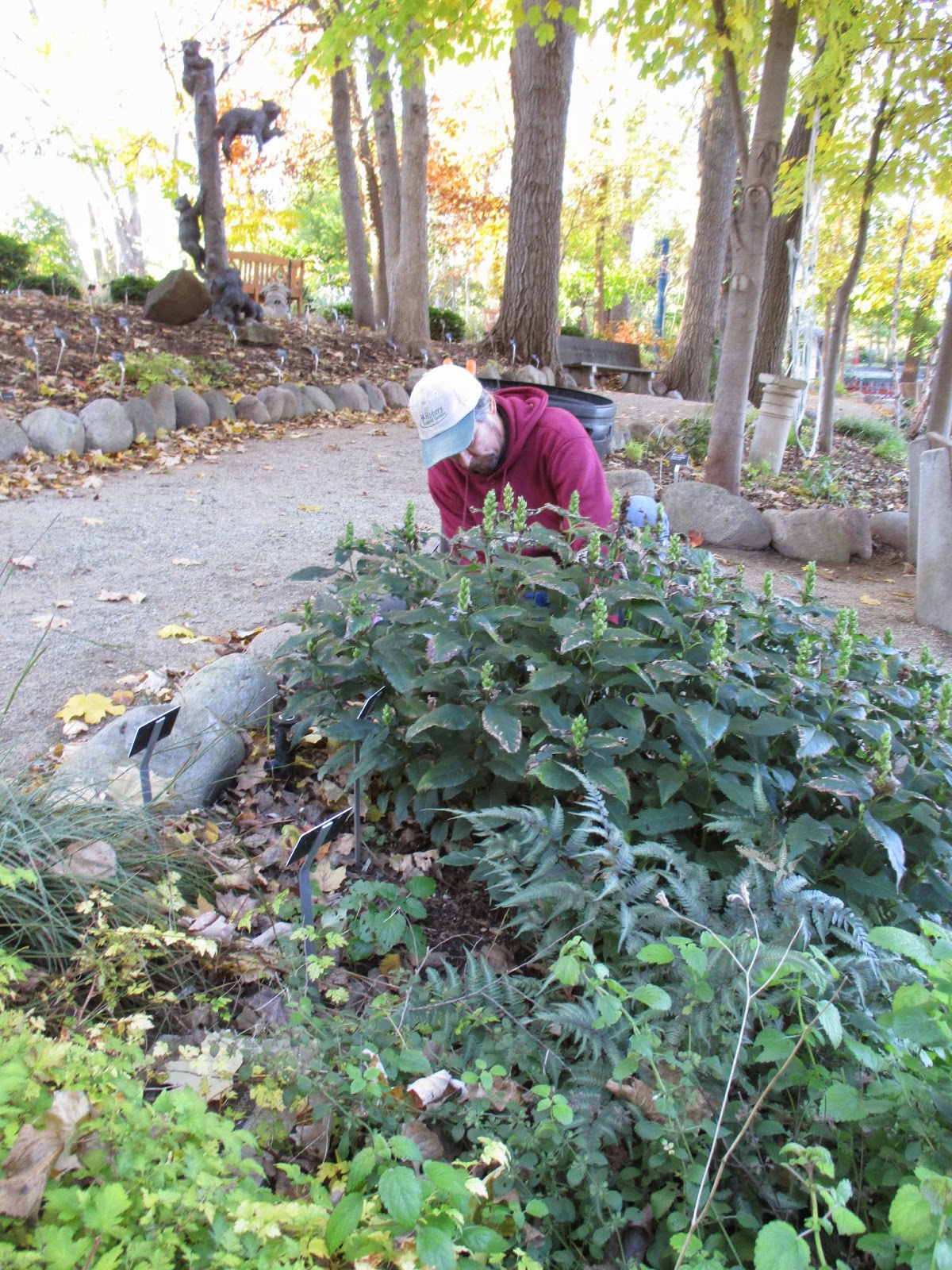 Colorado Garden Punch List Winter Pruning Punch List