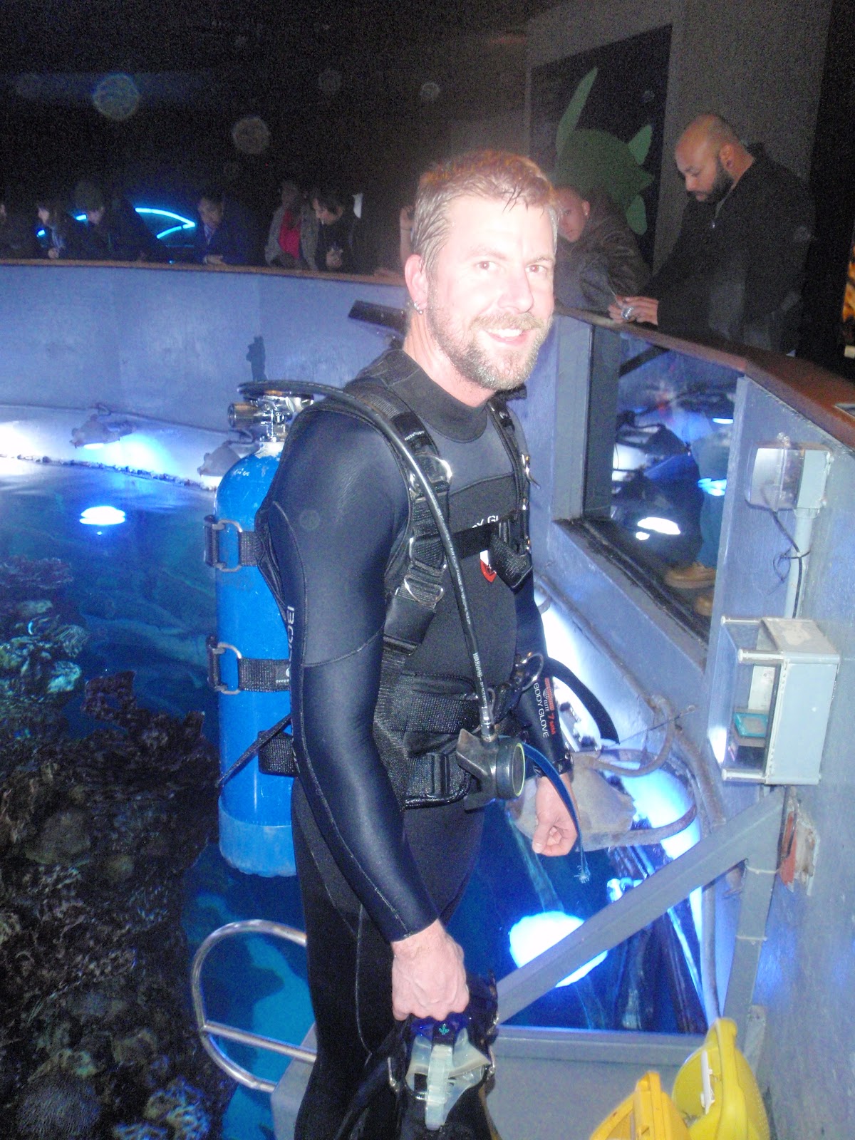 Giant Ocean Tank Divers Blog