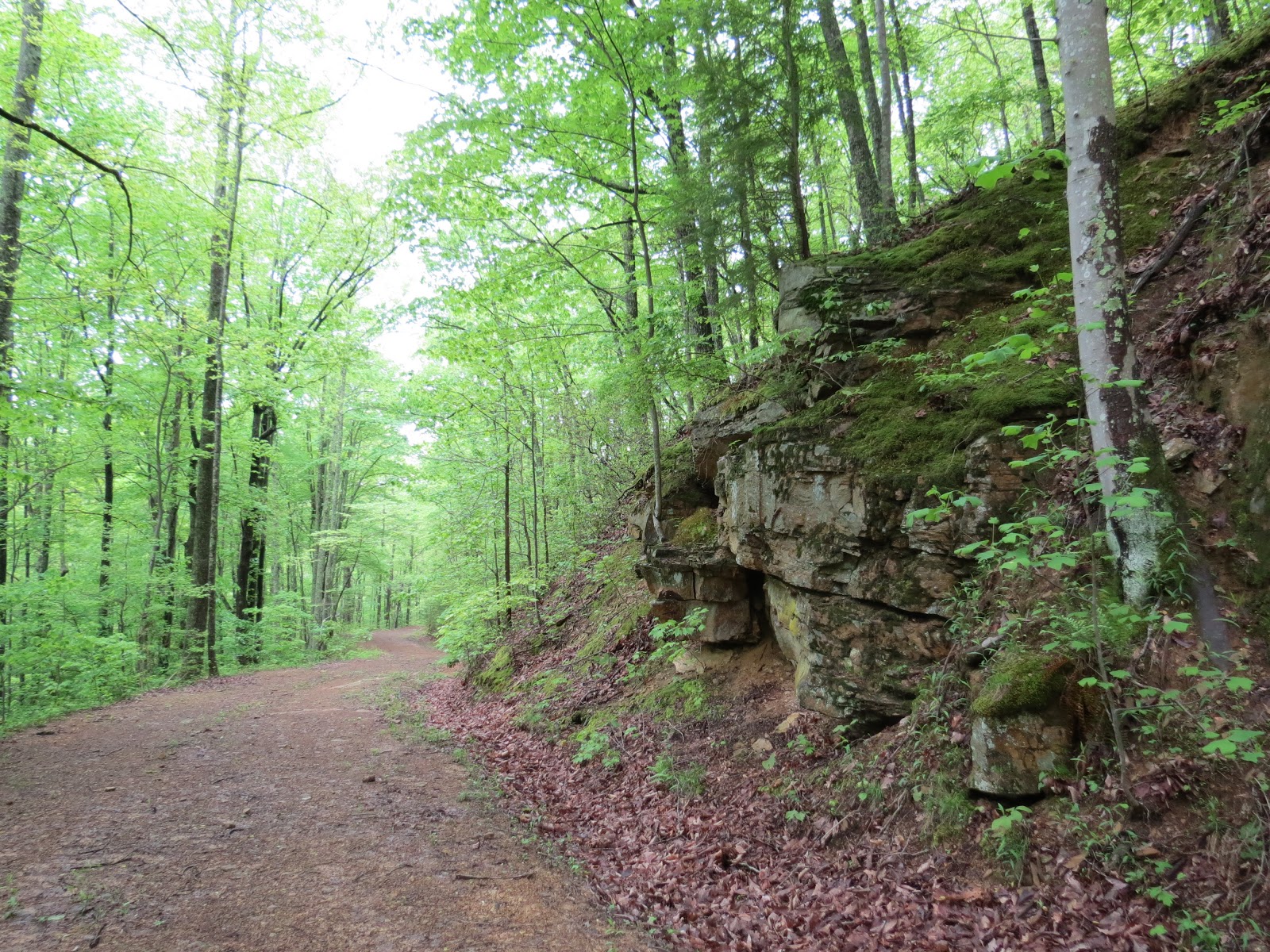 Where's Liz2013? Frozen Head State Park, TN