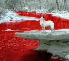 اختي المسلمه ديسمبر 2014