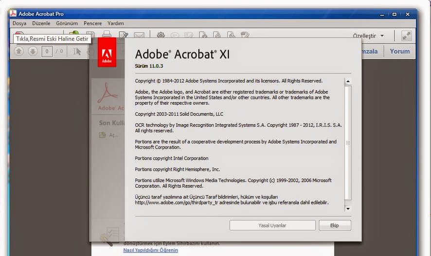 Sanitize Document Adobe Acrobat X Windows