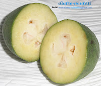 Feijoa - Acca sellowiana, ruda guavei, deci și a mărului prin alianță {review}