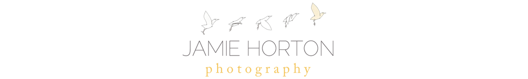Jamie Horton Photography