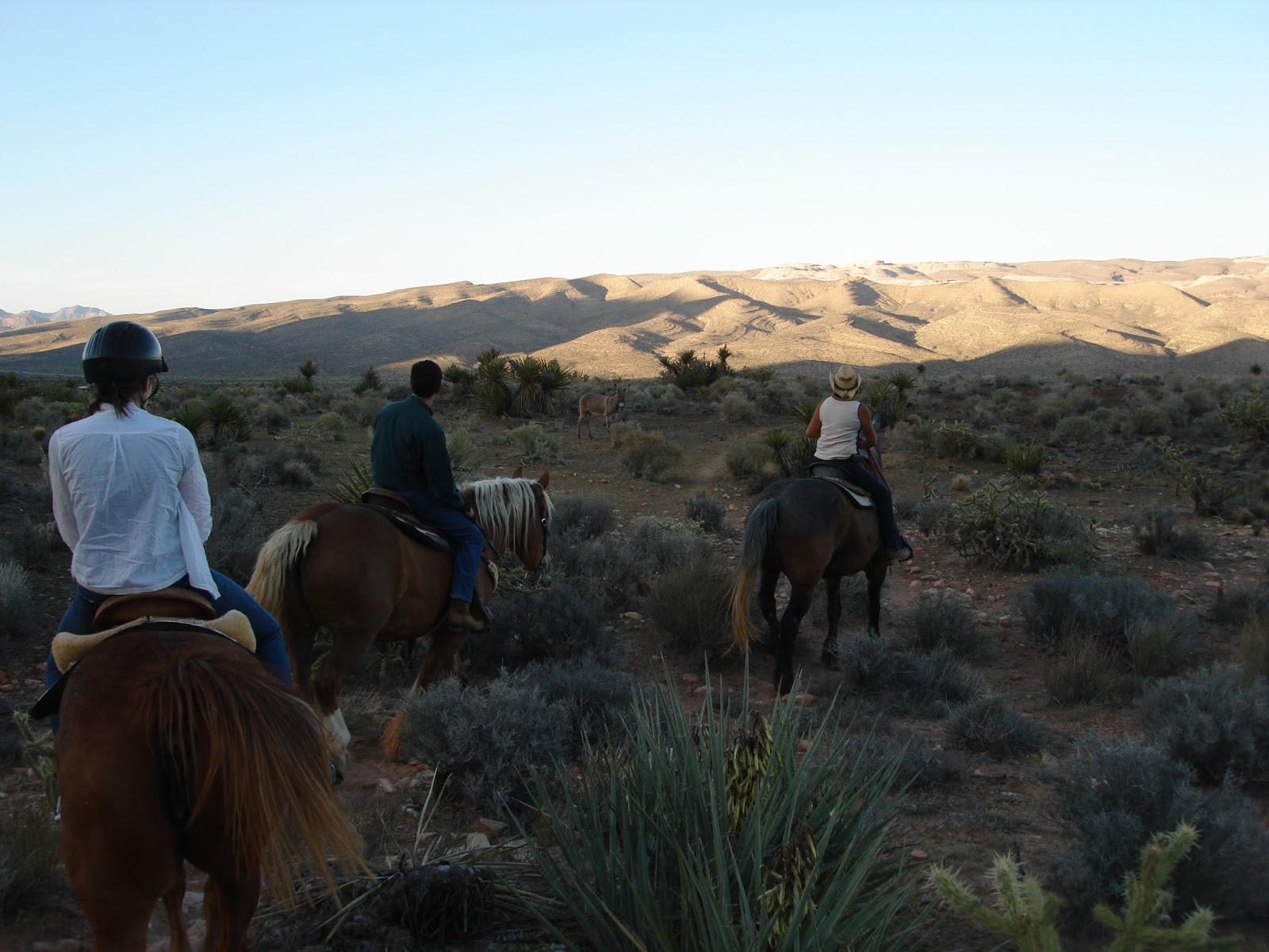 The Beloved Road Las Vegas Horseback riding at Bonnie Springs Ranch