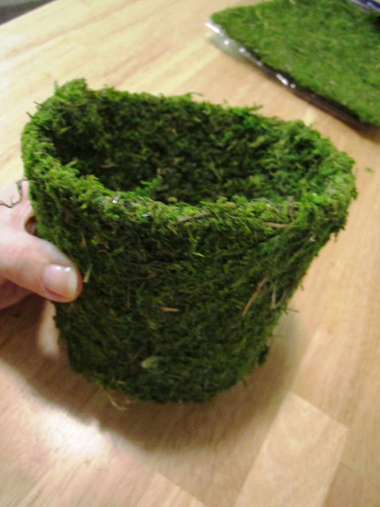 DIY Moss Pots! This Fairy Tale Life