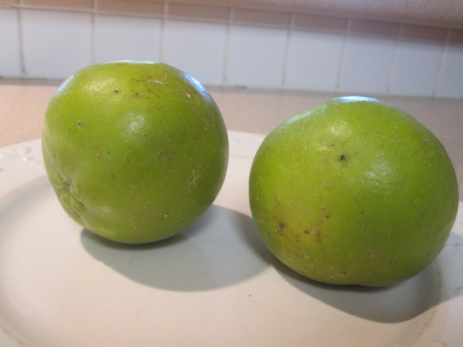 Cannundrums White Sapote
